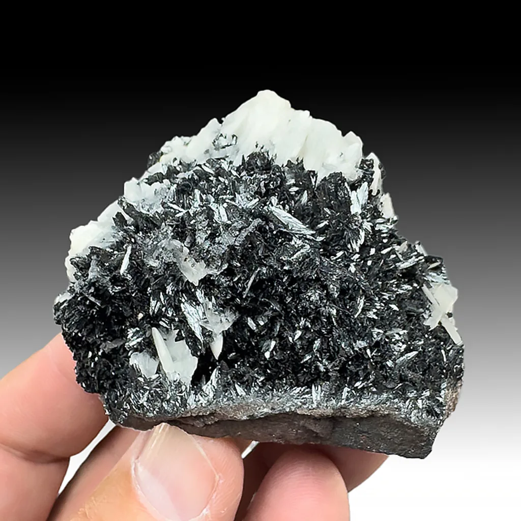 Manganite with Barite image
