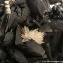 Manganite With Calcite - image 4