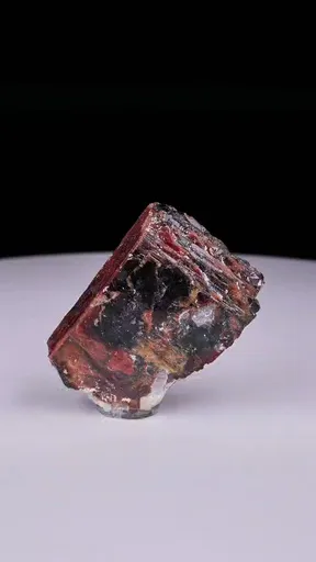 specimen video
