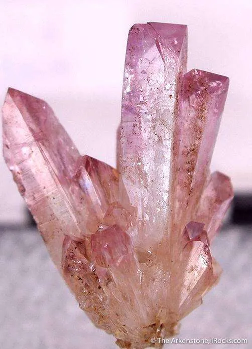 Manganoan Adamite image