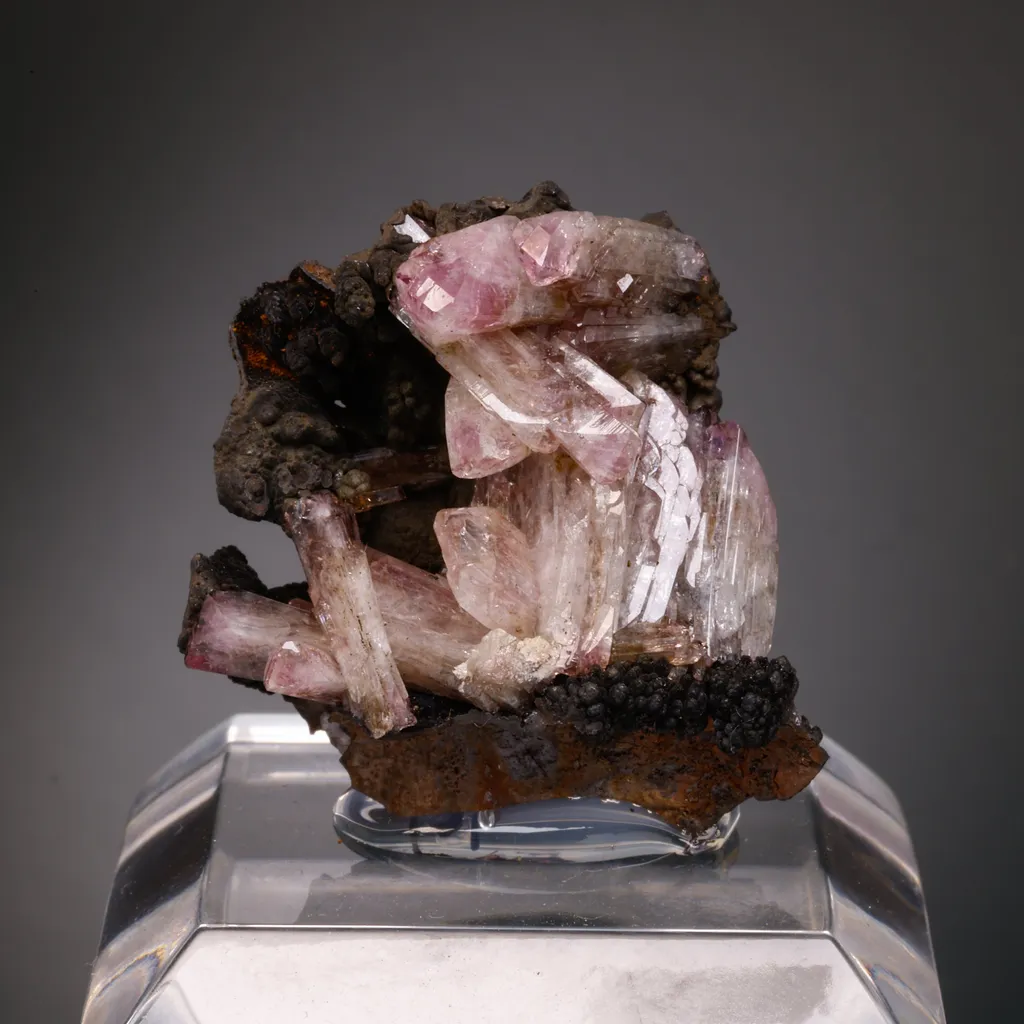 Manganoan Adamite image