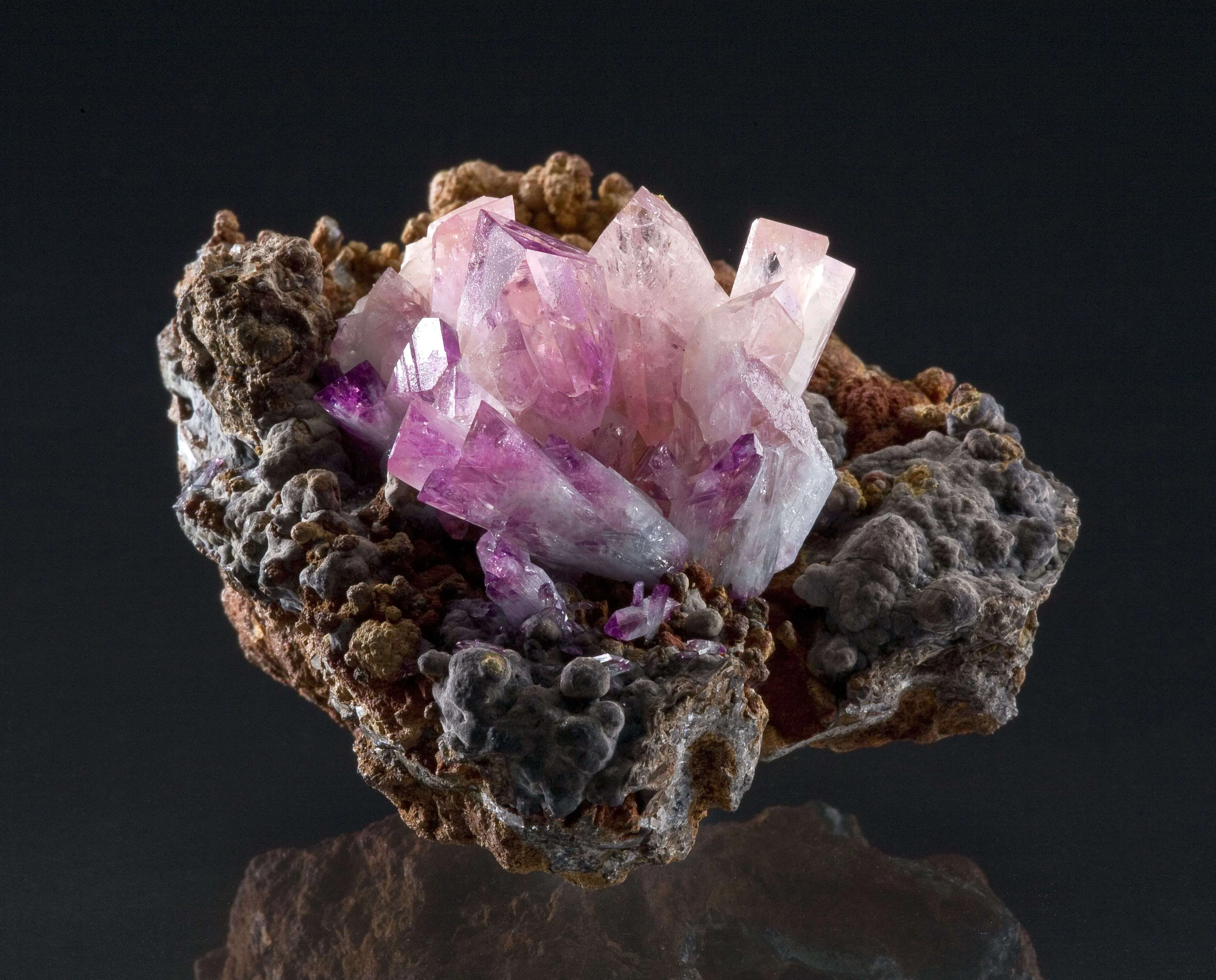 Manganoan Adamite - image 1