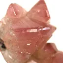 Manganoan Adamite - image 3