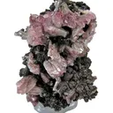 Manganoan Adamite - image 1