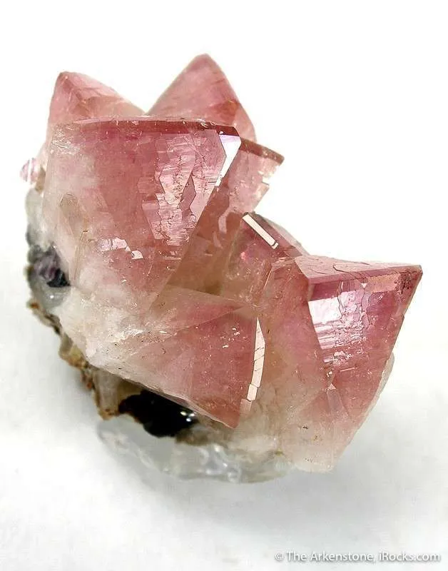 Manganoan Adamite image