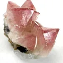 Manganoan Adamite - image 1