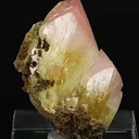 Manganoan Adamite - image 1