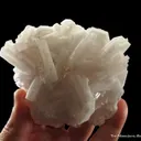 Manganoan Calcite (fluorescent) - image 1