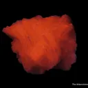 Manganoan Calcite (fluorescent) - image 6