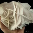 Manganoan Calcite (Rare Form!) - image 1