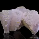 Manganoan Calcite with Pyrite - image 6