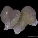 Manganoan Calcite with Pyrite - image 2