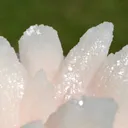 Manganocalcite 2110 grams - Septemvri Mine, Madan Municipality, Smolyan Province, Bulgaria - image 5