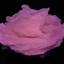 Manganocalcite - image 2