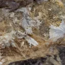 Manganohornesite (type locality) with Hausmannite and Dolomite - image 1