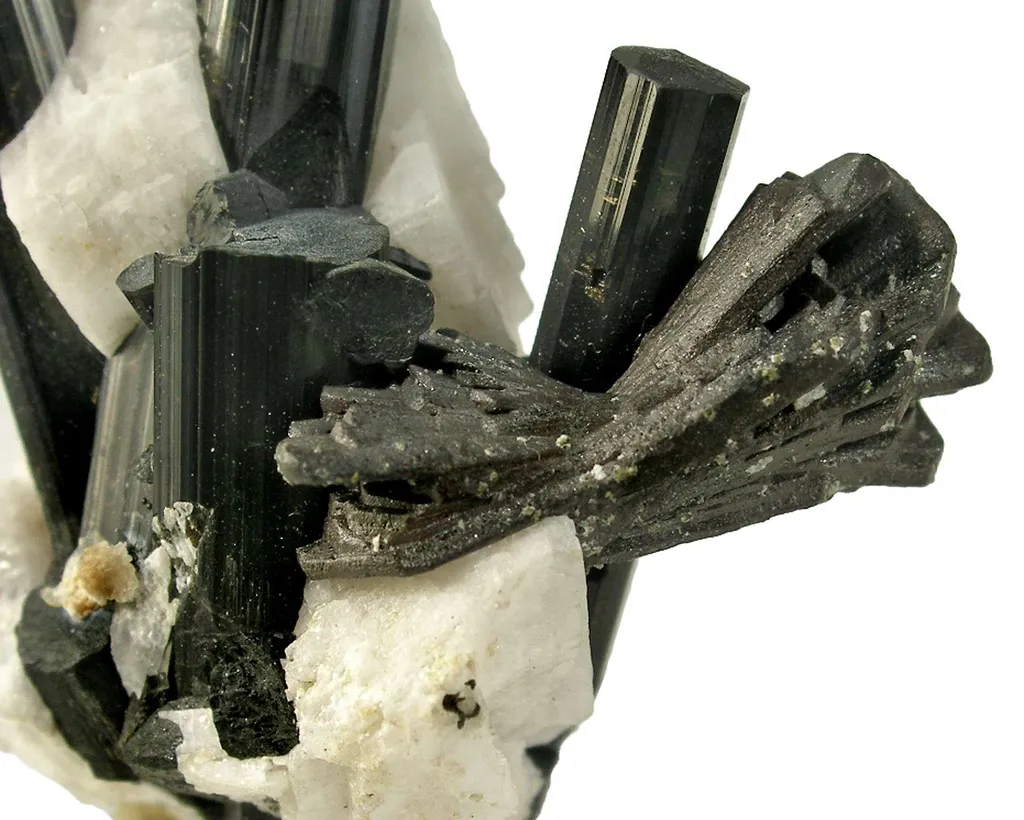 Manganotantalite on Schorl and Albite - image 2