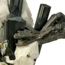 Manganotantalite on Schorl and Albite - image 2