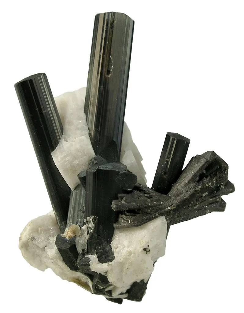 Manganotantalite on Schorl and Albite image