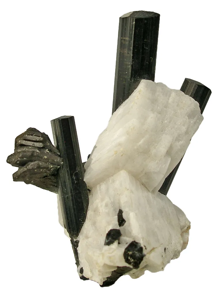 Manganotantalite on Schorl and Albite - image 3