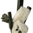 Manganotantalite on Schorl and Albite - image 3