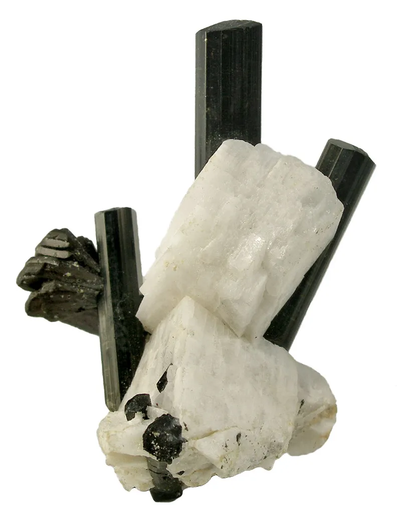 Manganotantalite on Schorl and Albite - image 4