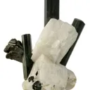 Manganotantalite on Schorl and Albite - image 4