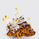 Mango Quartz - image 1