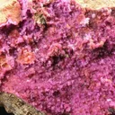 Mannsfieldite (Cobaltoan) With Minor Erythrite - image 2