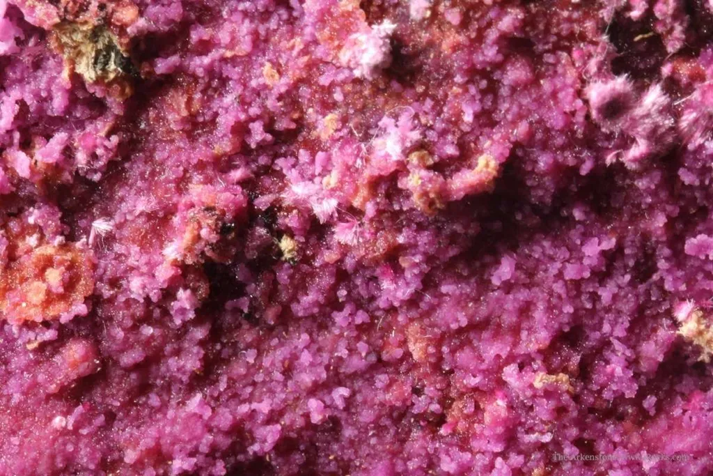 Mannsfieldite (Cobaltoan) With Minor Erythrite - image 3