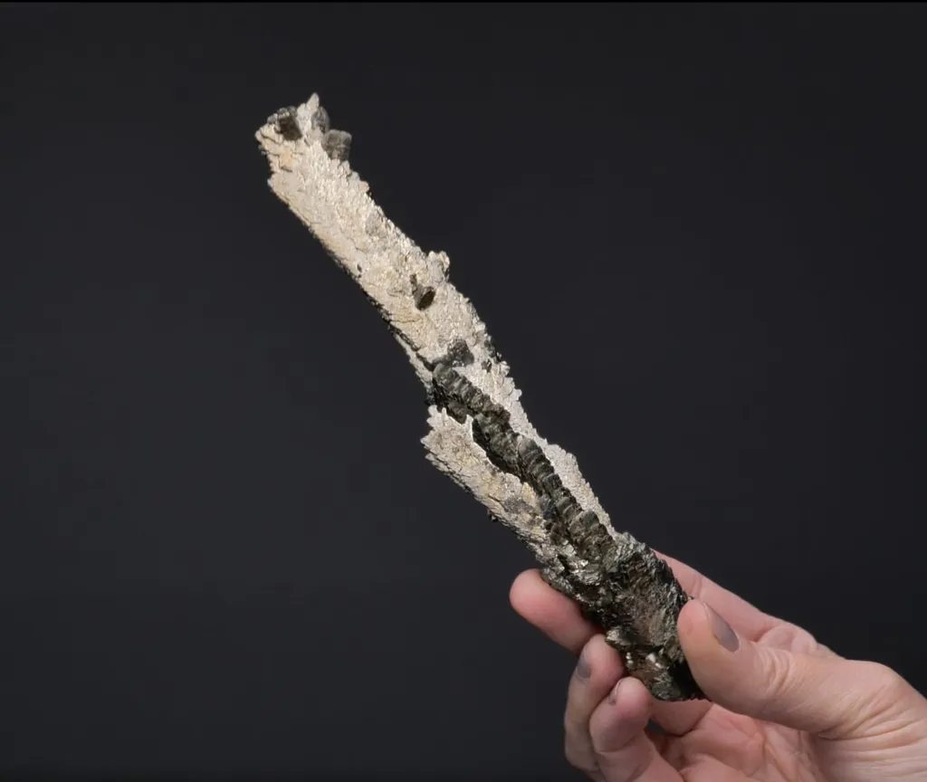 Marcasite - image 2