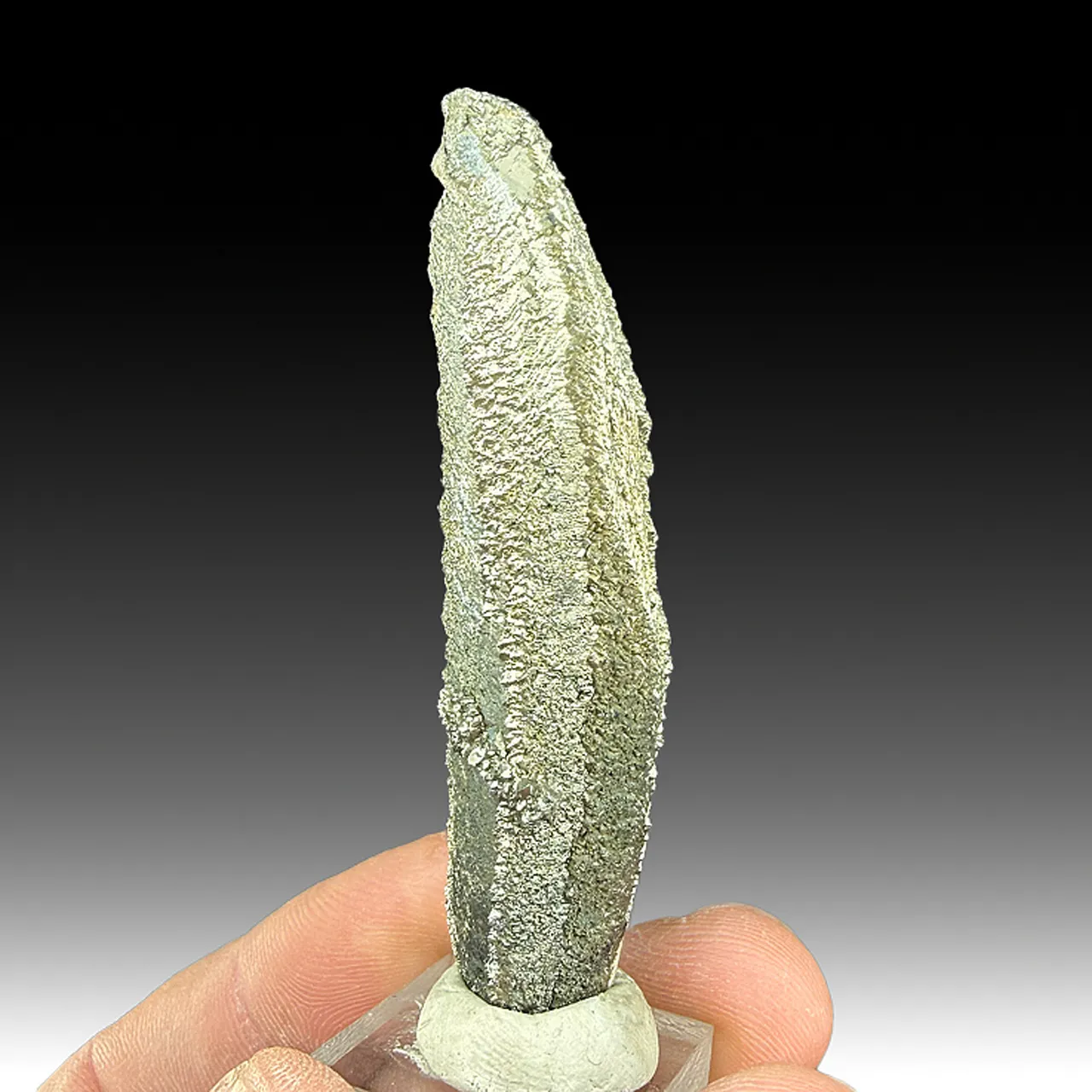 Marcasite epitaxial Pyrite - image 1