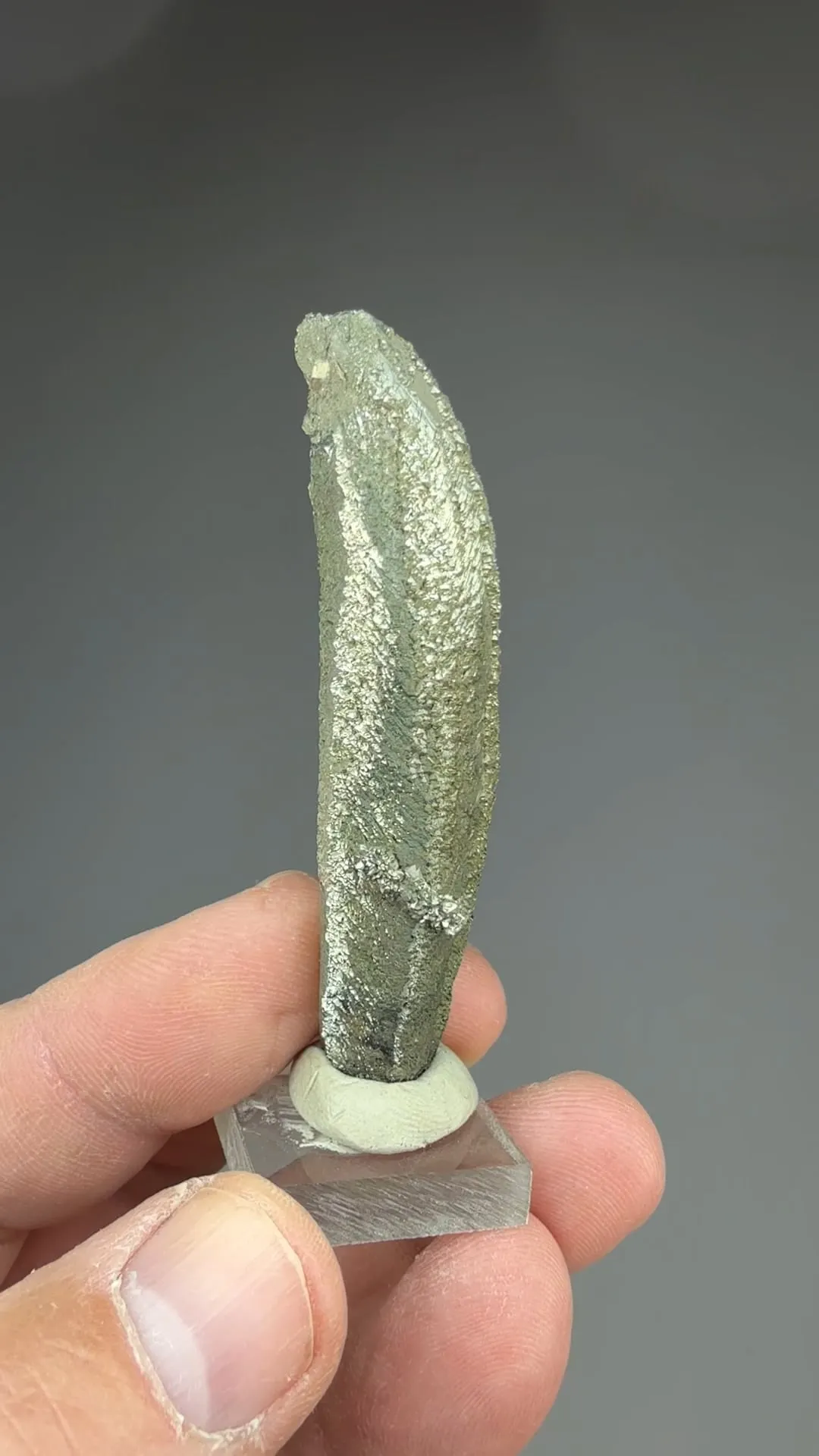 Marcasite epitaxial Pyrite - image 3