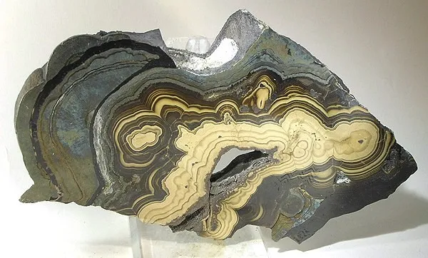 Marcasite, Galena, Sphalerite image