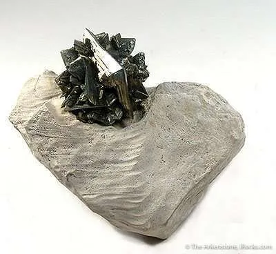 Marcasite on Chalk image