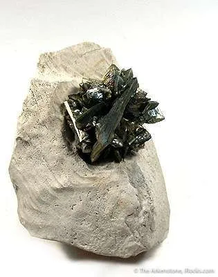 Marcasite on Chalk - image 2