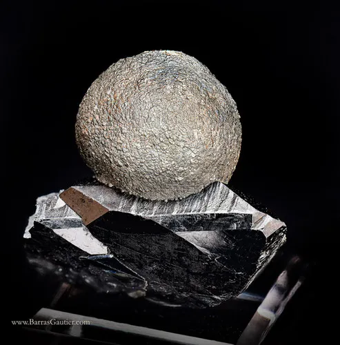 Marcasite on Ferberite image