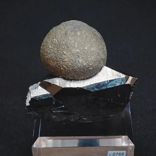 specimen video