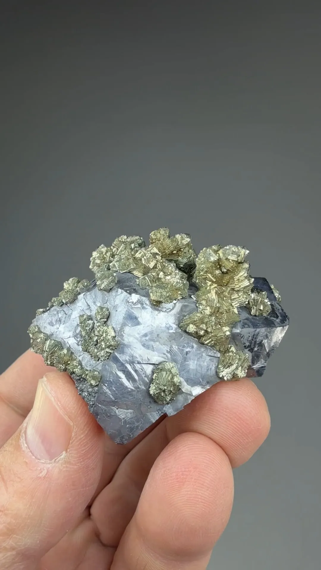 Marcasite on Galena - image 2