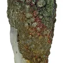 Marcasite on Quartz - image 3