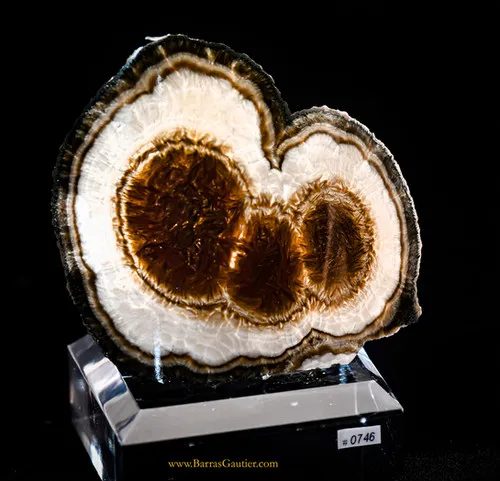 Marcasite- Polished Barite image