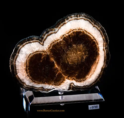 Marcasite- Polished Barite image