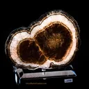 Marcasite- Polished Barite - image 1