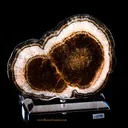Marcasite- Polished Barite - image 1