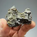 Marcasite, Pyrite on Sphalerite - image 1