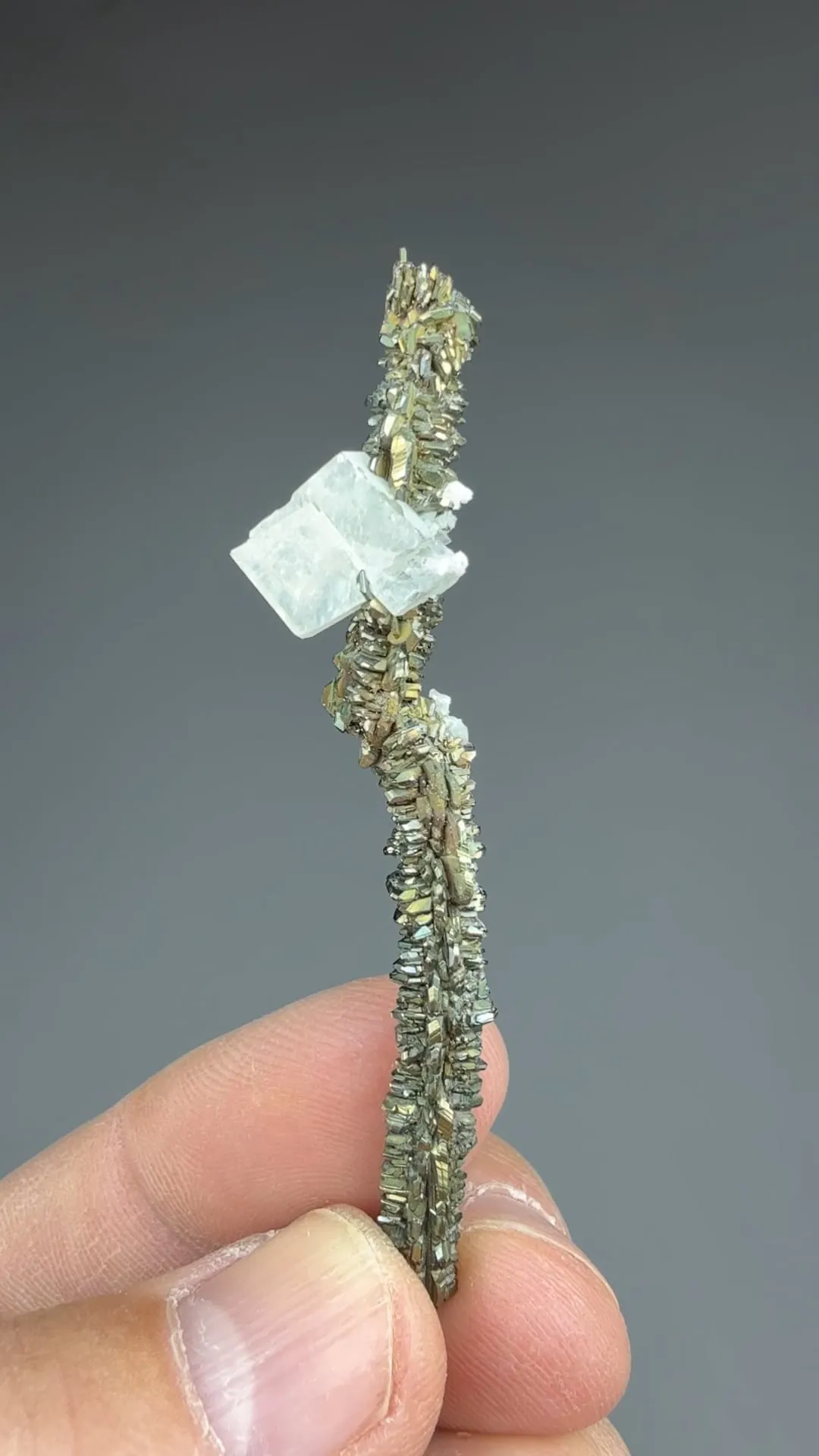 Marcasite with Barite - image 2