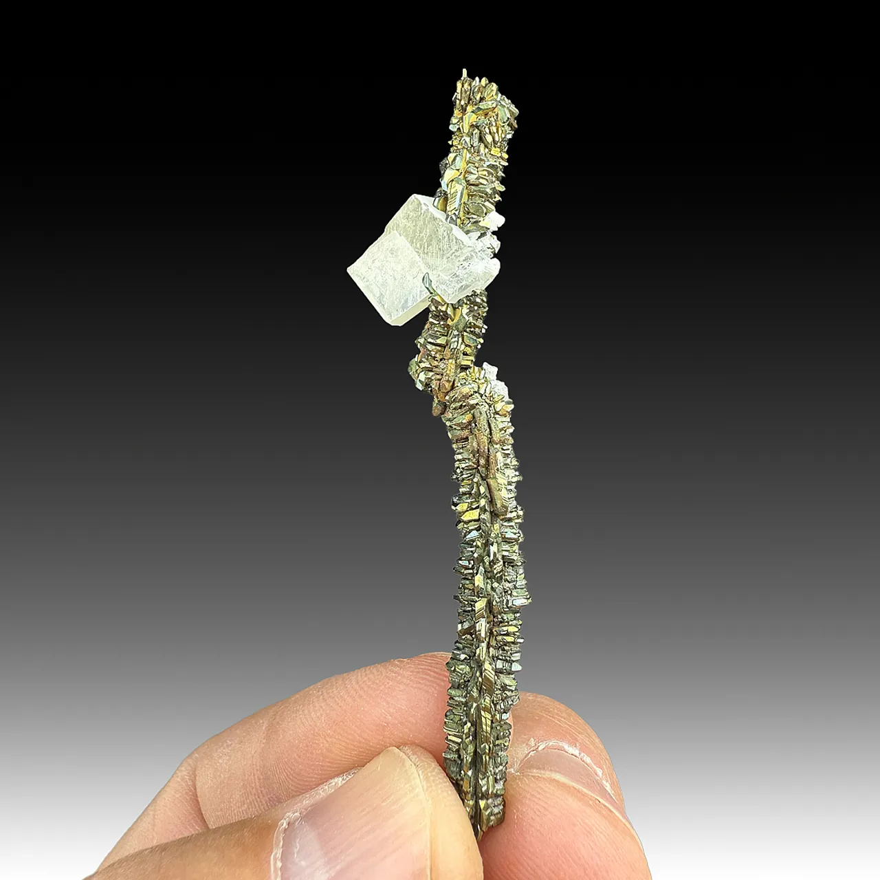 Marcasite with Barite - image 1