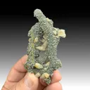 Marcasite with Calcite - image 1