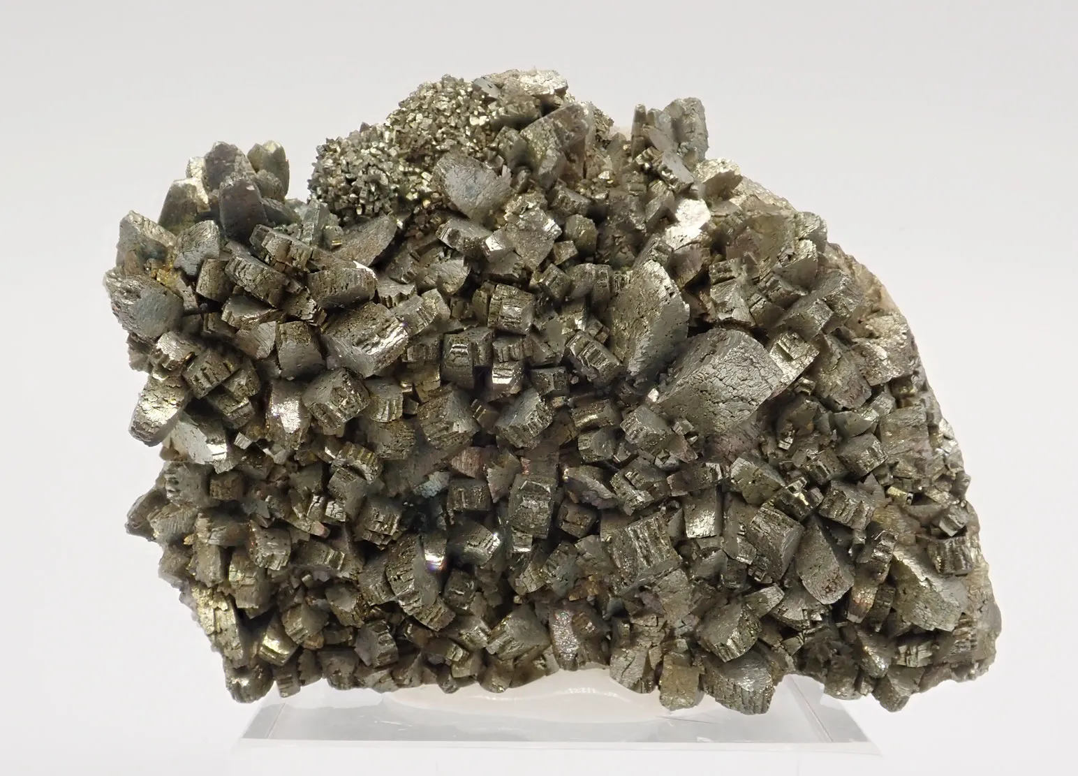 Marcasite with Pyrite - image 3