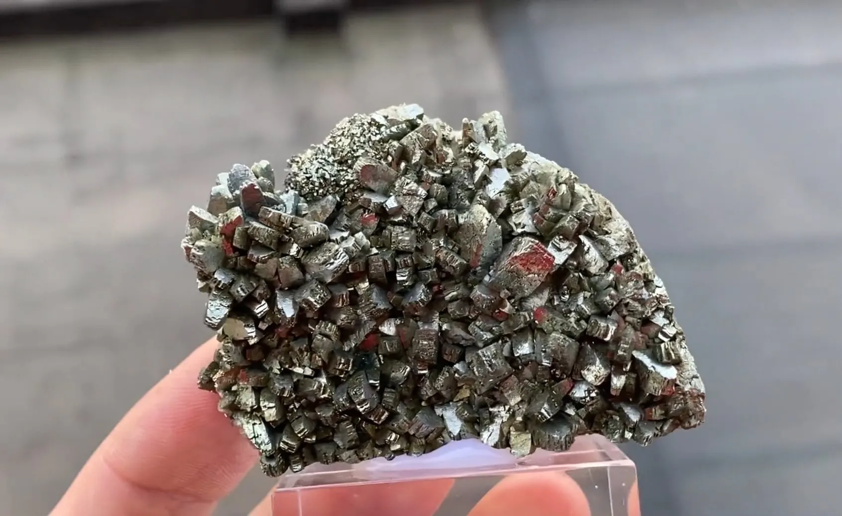 Marcasite with Pyrite - image 5