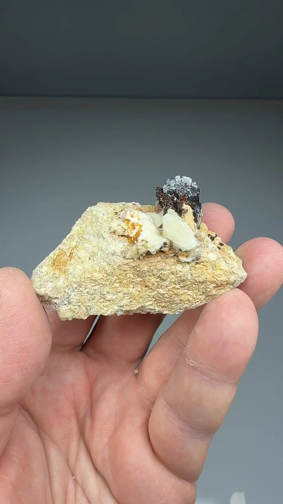 Marcasite with Pyrite - image 2